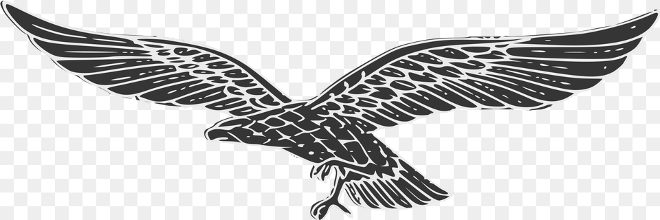 Luftwaffe Eagle No Swastika, Animal, Bird, Flying Png Image