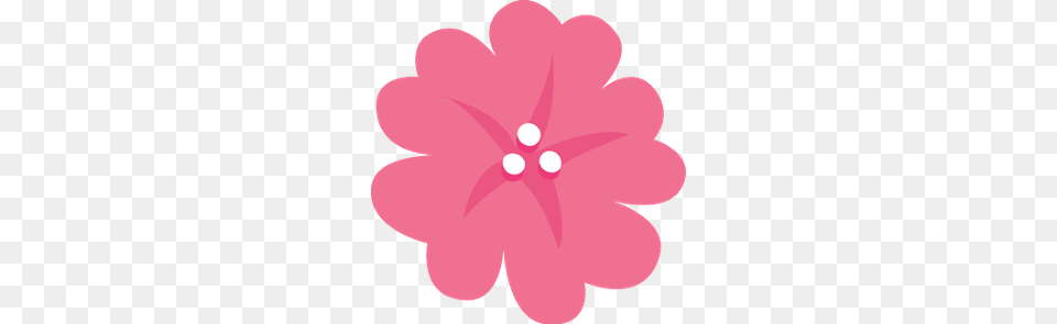 Luh Happy, Dahlia, Daisy, Flower, Petal Png