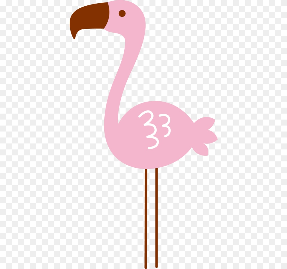 Luh Happys Profile, Animal, Bird, Flamingo, Person Png