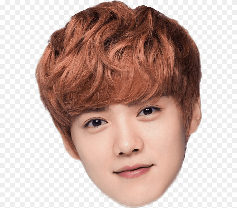 Luhan Luhanexo Luhan Exo Baby Luhan Stickers, Face, Head, Person, Photography Free Transparent Png