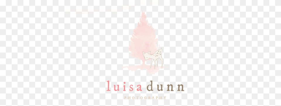 Luisa Dunn Photography Christmas Tree, Animal, Deer, Mammal, Wildlife Free Transparent Png