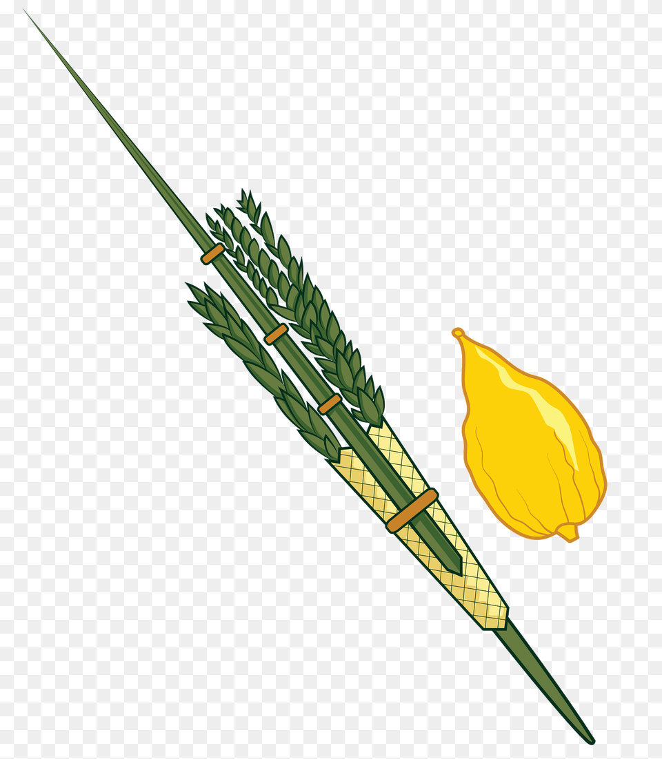 Lulav And Etrog Clipart, Grass, Plant, Flower, Blade Free Png Download