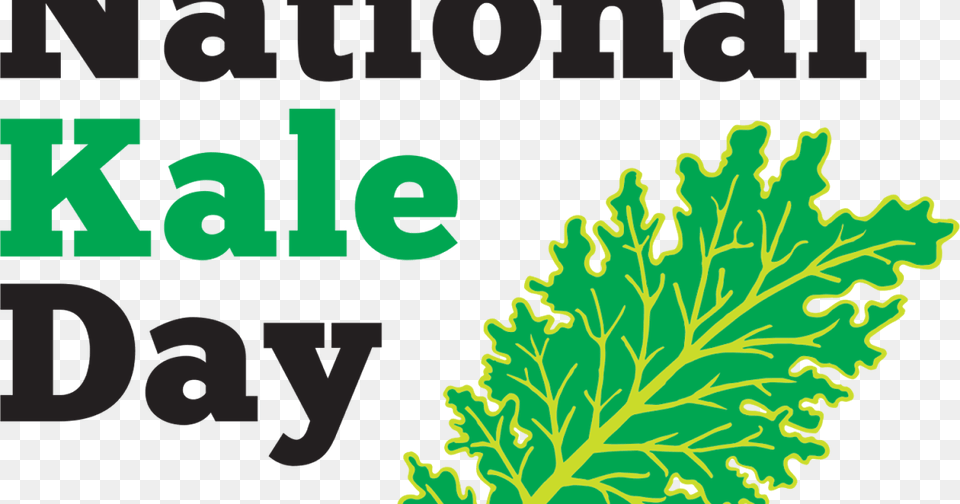 Lulu Blossom National Kale Day, Green, Food, Leaf, Leafy Green Vegetable Png
