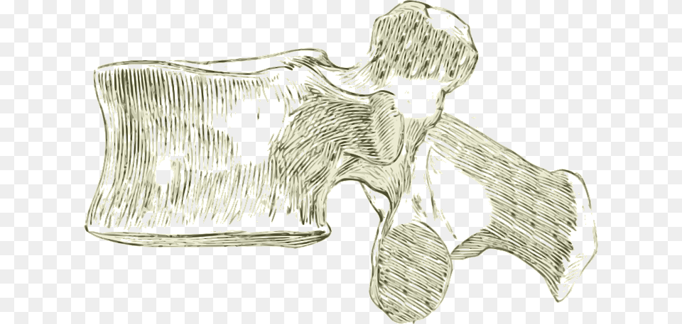 Lumbar Bones, Art, Drawing, Person Free Png Download