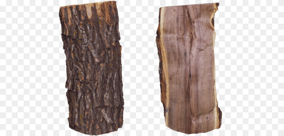 Lumber, Plant, Tree, Tree Trunk, Wood Free Png Download