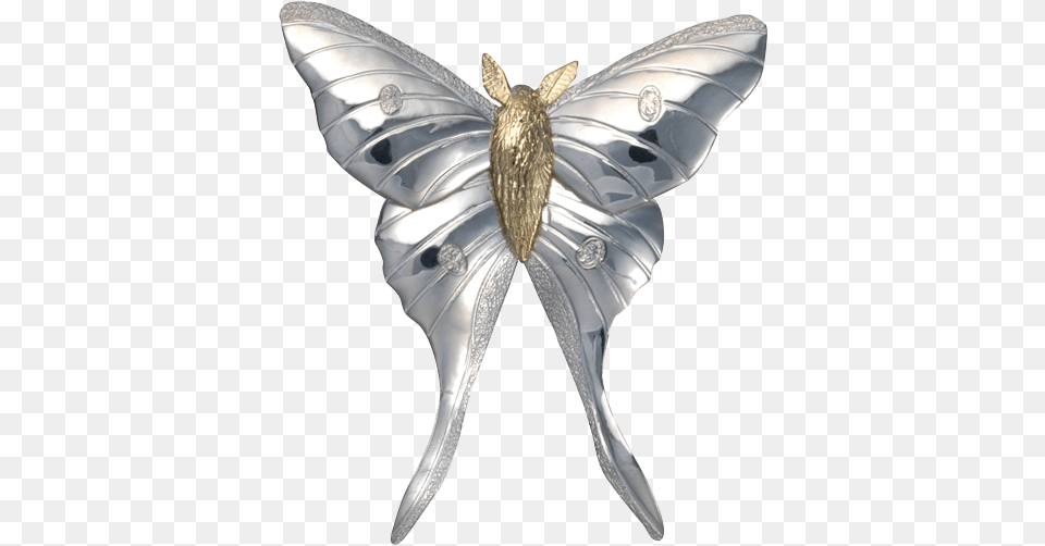 Luna Moth Pinpendant, Accessories, Brooch, Jewelry, Person Free Png Download