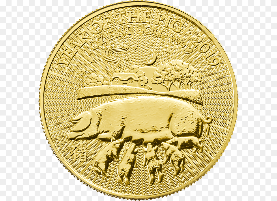 Lunar 2019 Year Of The Pig 1 Oz Gold Coinsrc Https Gold Coin Year Of The Pig 1 Oz 2019, Animal, Mammal, Money Free Png