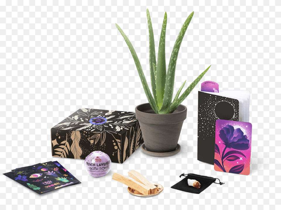 Lunarly Subscription Box, Plant, Pottery, Potted Plant, Aloe Free Png Download