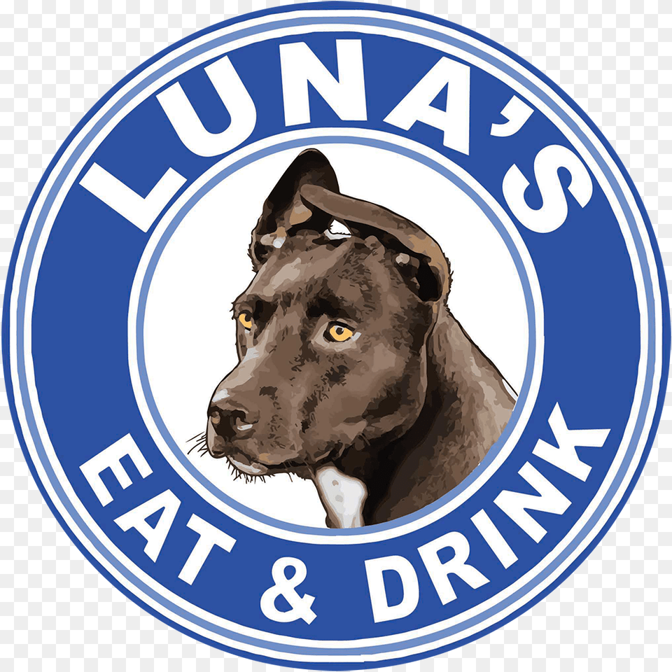 Lunas Eat And Drink Dog Catches Something, Adult, Person, Man, Male Png