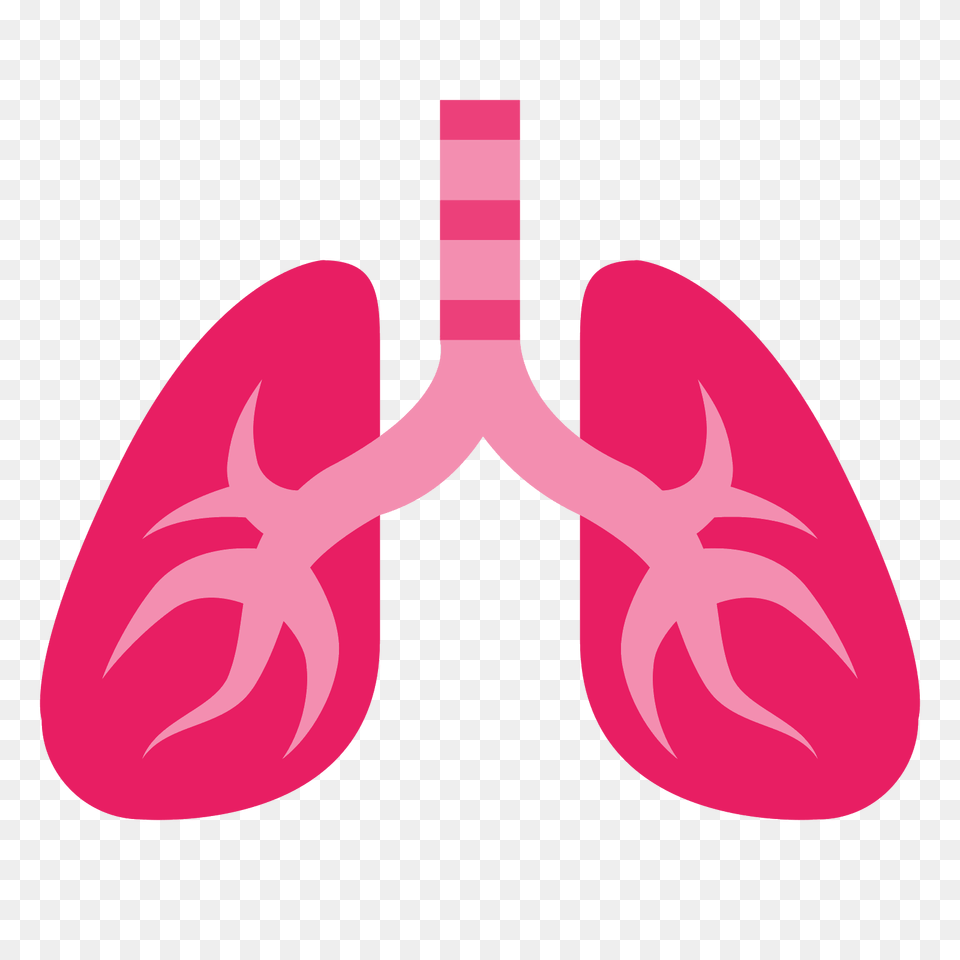 Lung Png