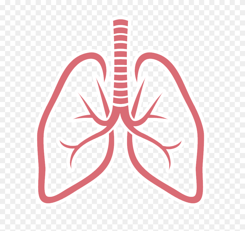 Lung, Smoke Pipe Free Transparent Png
