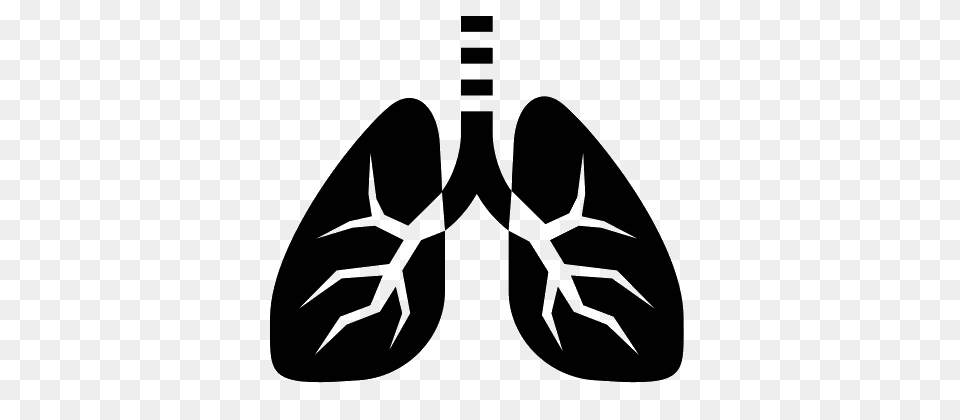 Lung, Gray Free Transparent Png