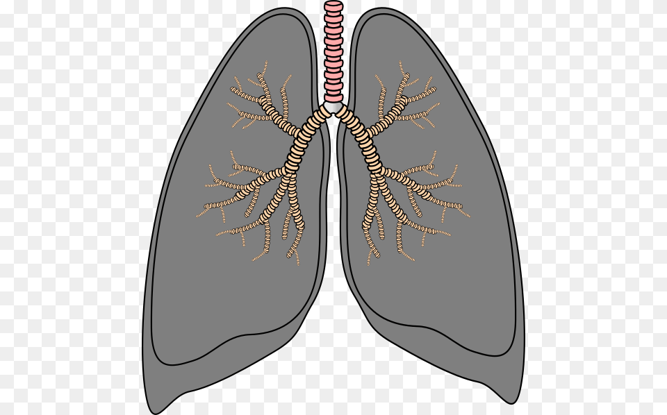 Lung, Pattern, Ct Scan Png Image