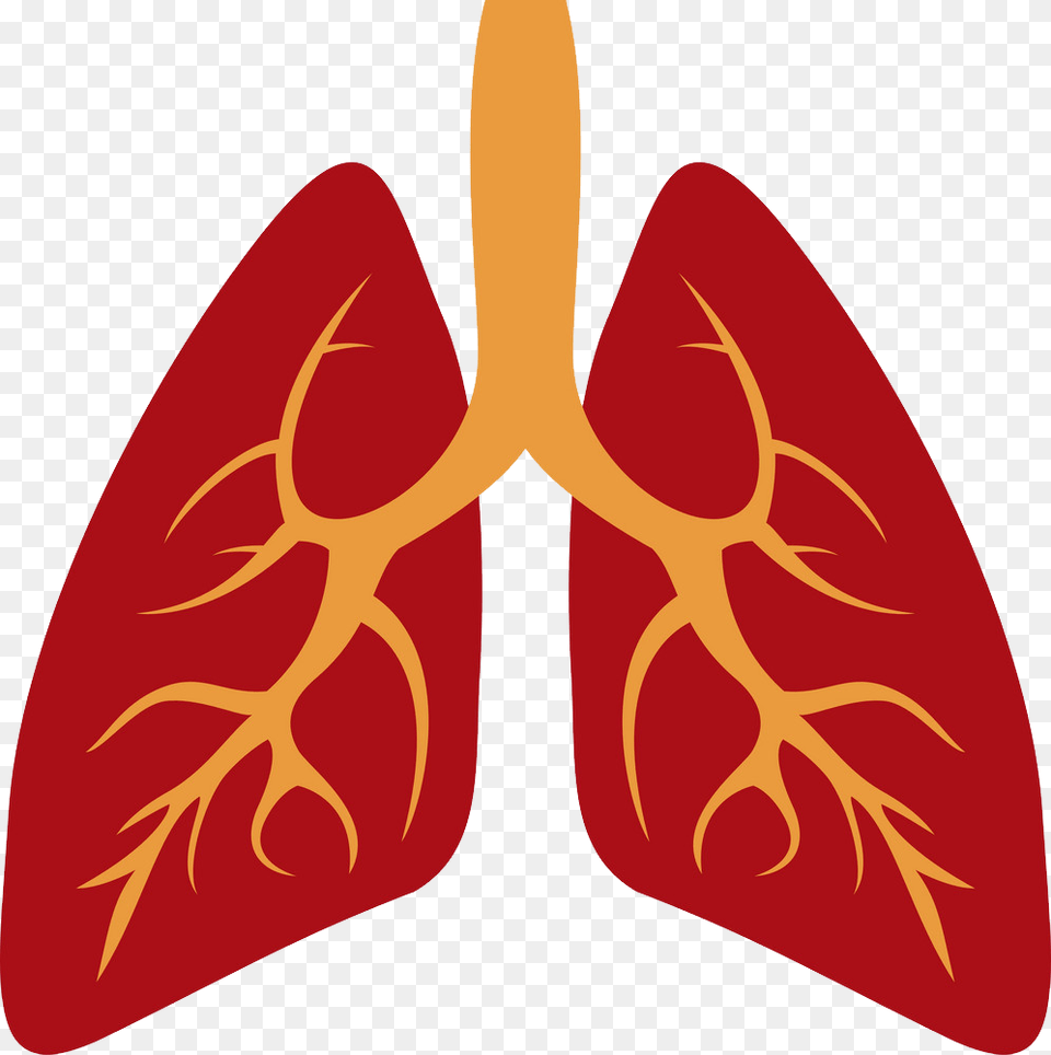 Lung Png