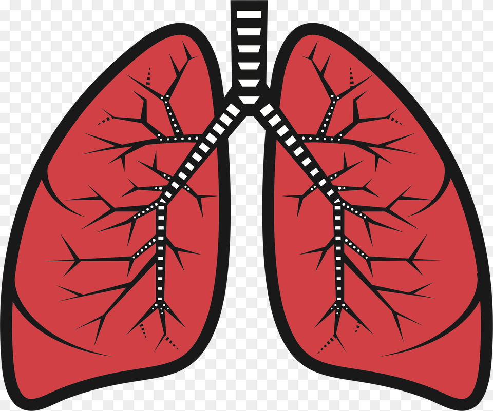 Lung Free Png Download