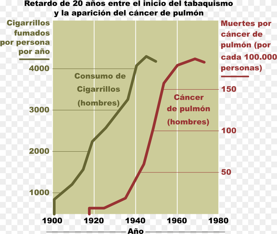 Lung Cancer From Smoking Free Png Download