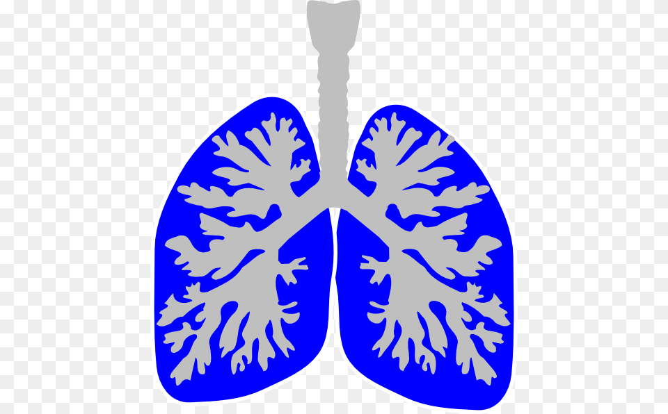 Lung Clip Art At Clker Com Vector Detection Of Lung Cancer With Breath Gas, Leaf, Plant, Accessories, Face Png Image