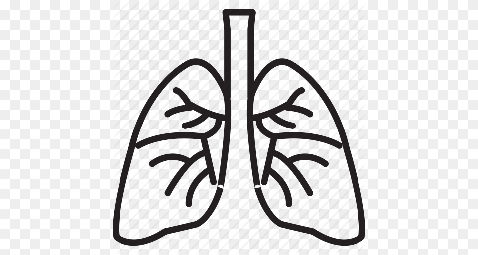 Lung Clipart Best, Gate, Text Png