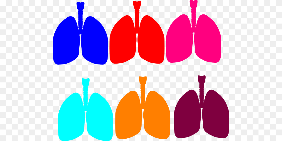 Lung Color Tika Clip Art, Flower, Petal, Plant, Paint Container Free Png