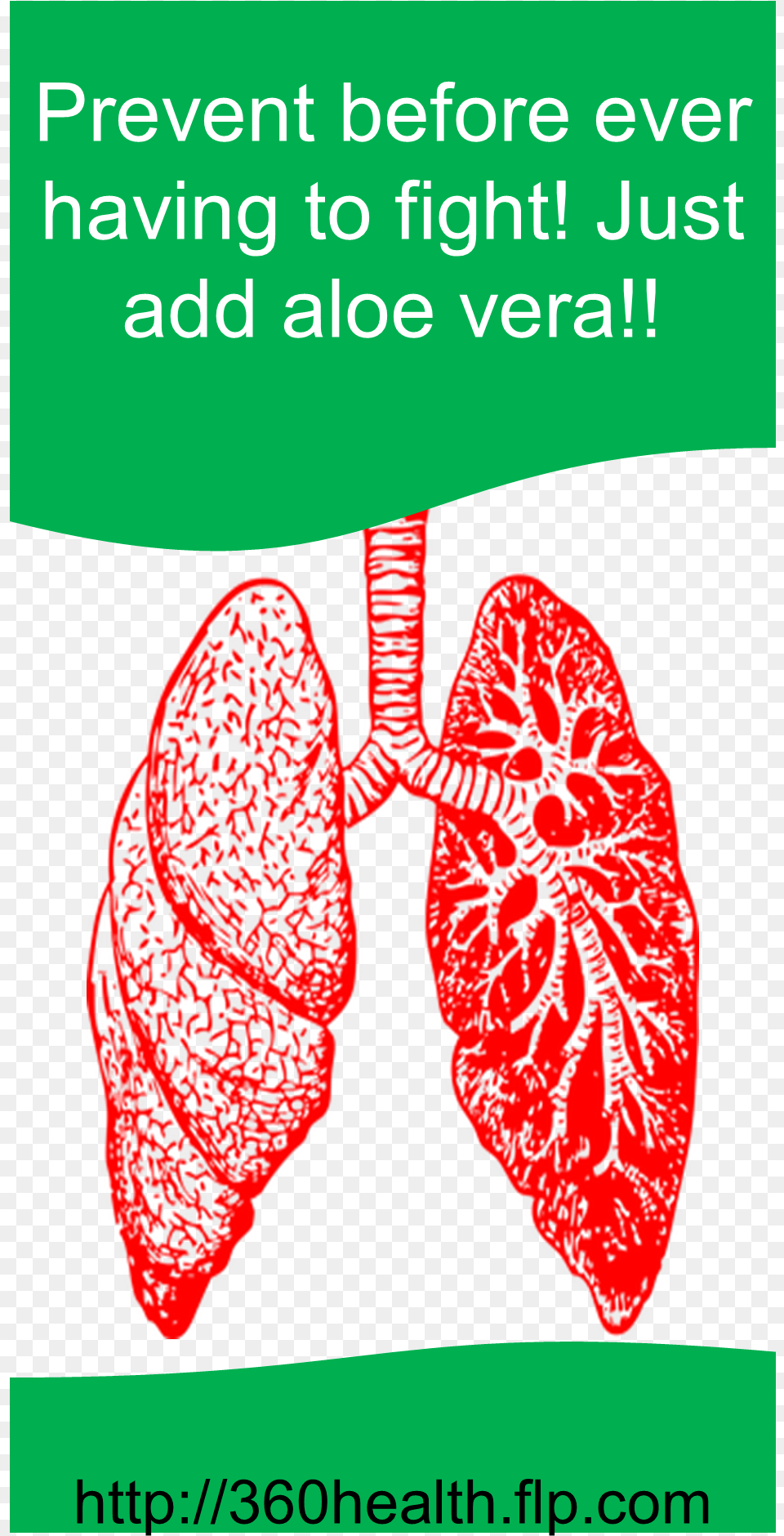 Lung Disease, Person, Leaf, Petal, Flower Free Transparent Png