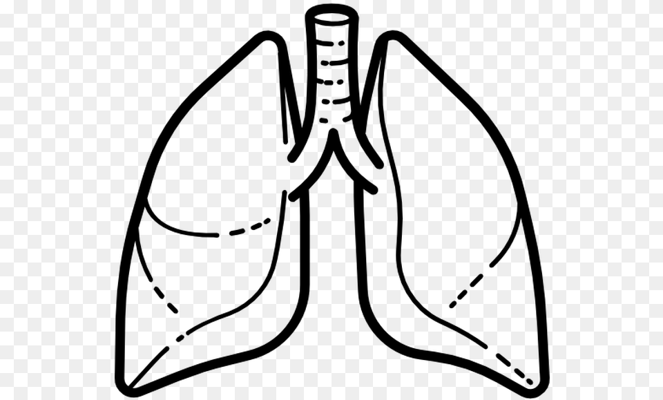 Lung Icon Vector, Gray Png Image
