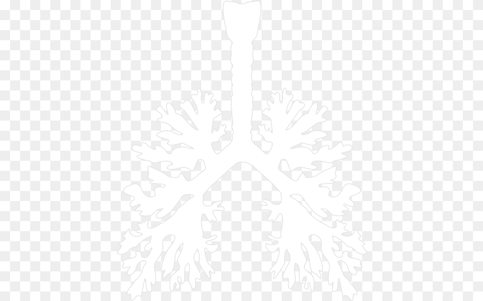 Lung Lung, Stencil, Person, Leaf, Plant Png Image