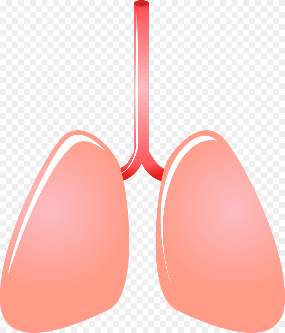 Lung Organ Clipart, Accessories, Lighting Free Png Download