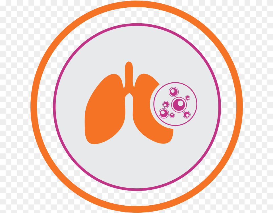 Lung Transplant, Photography, Disk Free Png Download