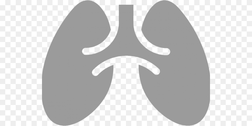 Lung Vector Icon Lung Logo, Ct Scan, Stencil Free Png