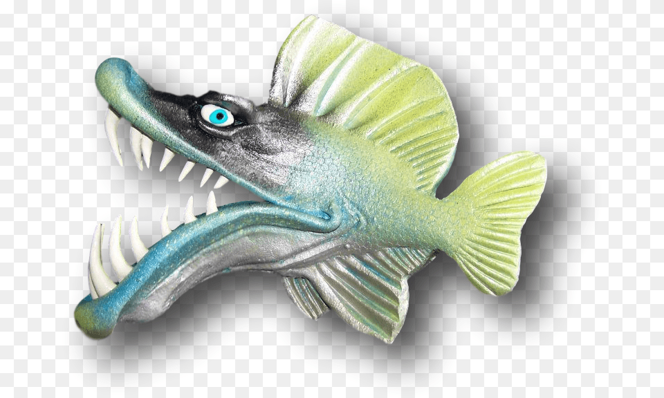 Lunge, Animal, Fish, Sea Life Free Png