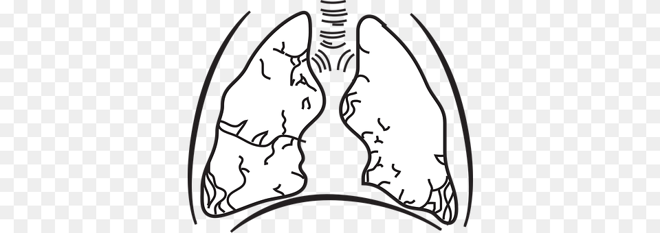 Lungs Ct Scan, Silhouette, Person, Face Png