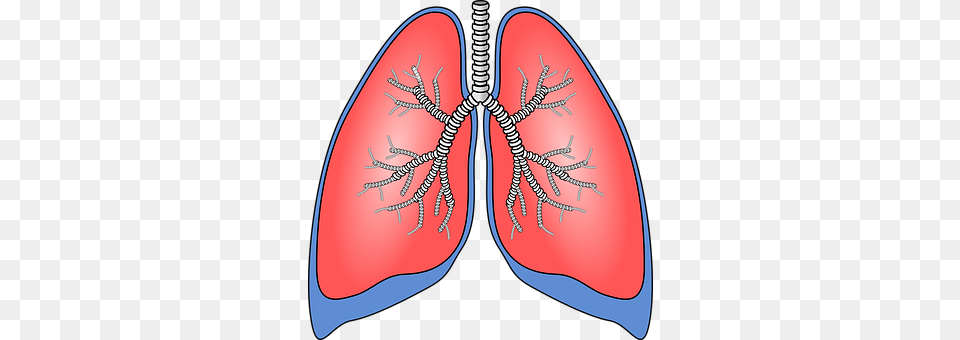 Lungs Face, Head, Person, Clothing Free Transparent Png