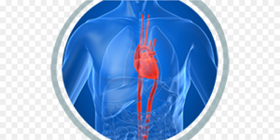 Lungs, Ct Scan Png Image