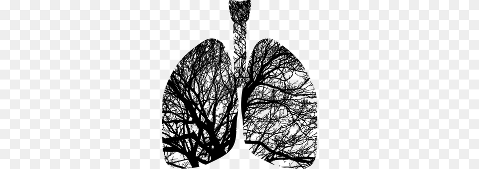 Lungs Gray Free Png Download