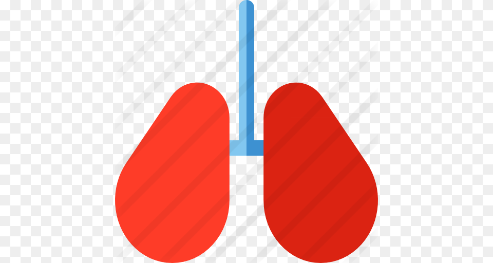 Lungs, Oars, Racket Free Transparent Png