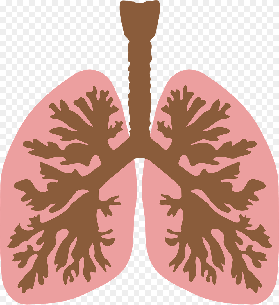 Lungs And Bronchus Clipart, Flower, Plant, Person, Face Free Png