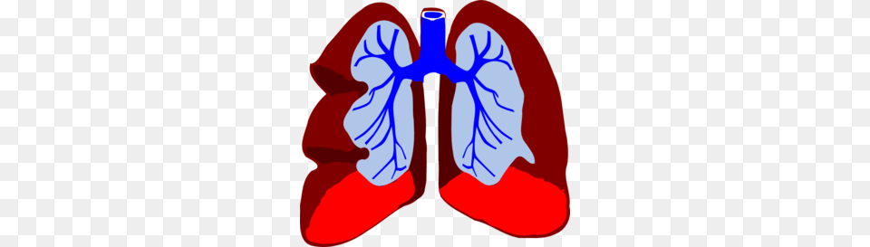 Lungs Clip Art For Web, Ct Scan, Flower, Iris, Petal Free Png