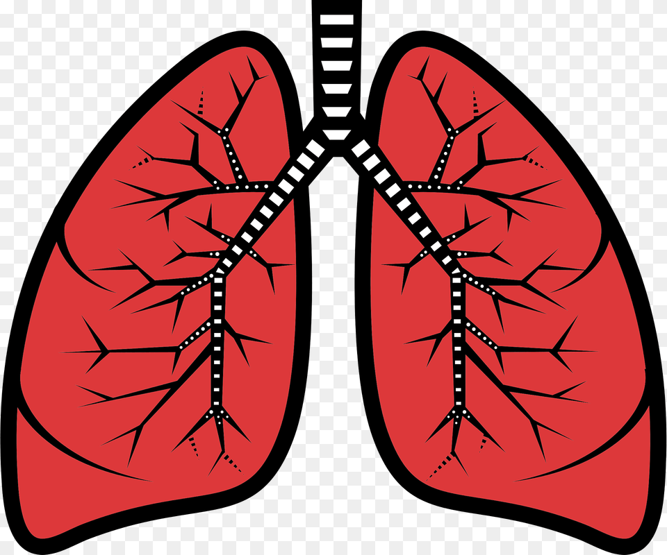 Lungs Clipart Free Png