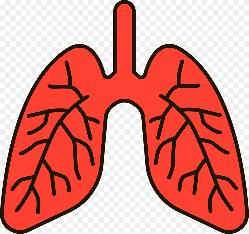 Lungs Clipart, Accessories, Leaf, Plant, Dynamite Png