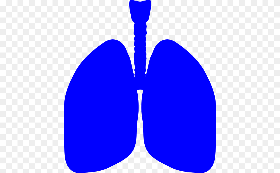 Lungs Clipart Blue, Plant, Petal, Cushion, Home Decor Png Image