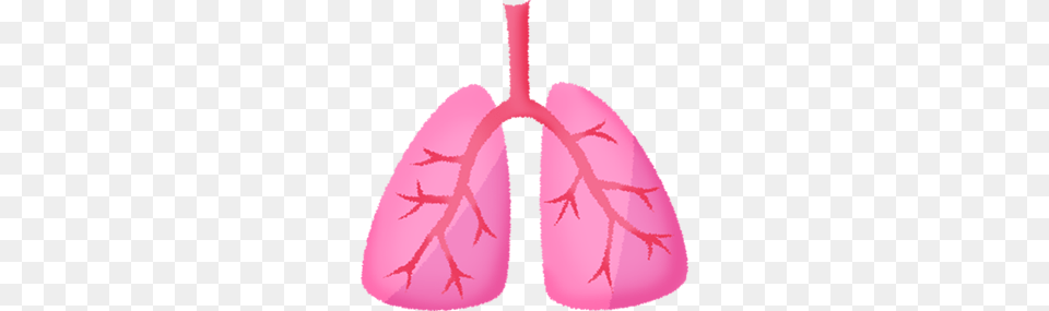 Lungs Clipart Illustrations, Art, Graphics, Leaf, Pattern Free Png