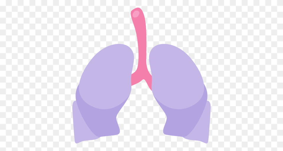 Lungs Human Organ, Bra, Clothing, Lingerie, Underwear Free Png Download