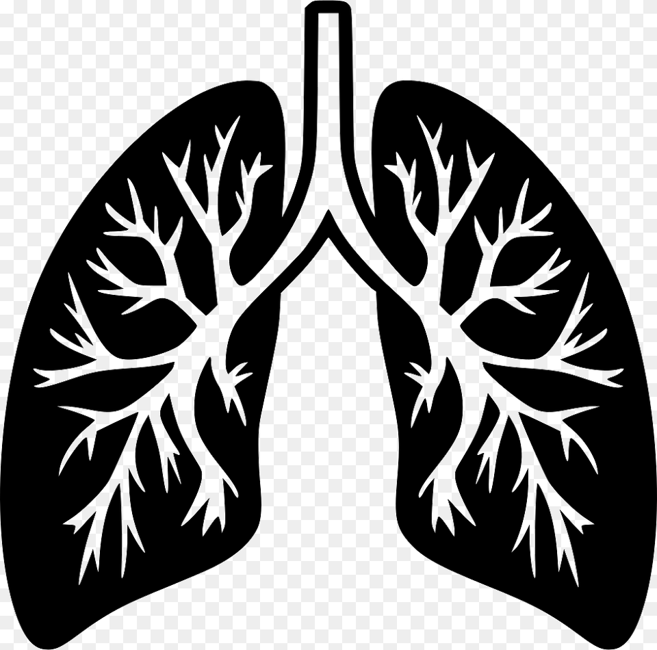 Lungs Icon Clipart, Leaf, Plant, Accessories, Stencil Free Png Download