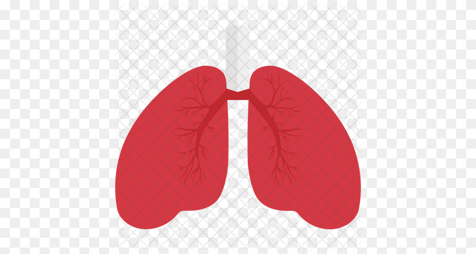 Lungs Icon Illustration, Clothing, Glove, Flower, Plant Png Image