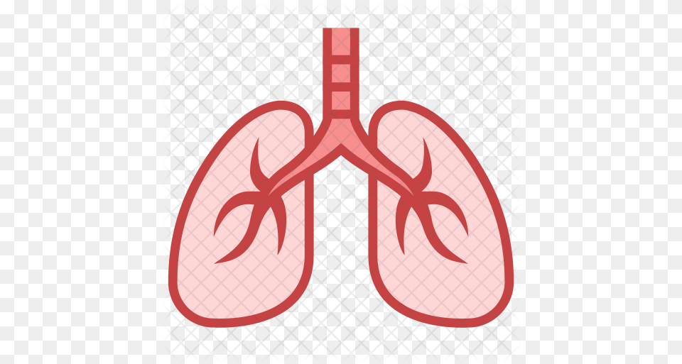Lungs Icon Of Colored Outline Style Lungs Icon, Racket Png