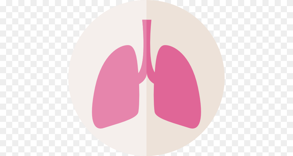Lungs Icon Pictures, Flower, Petal, Plant, Ct Scan Png Image