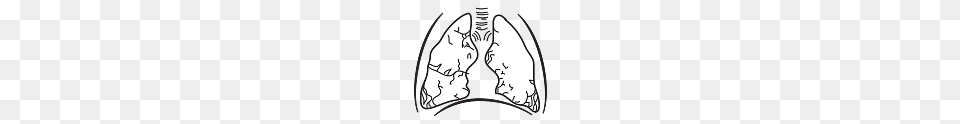 Lungs In Chest, Arrow, Arrowhead, Ct Scan, Weapon Png
