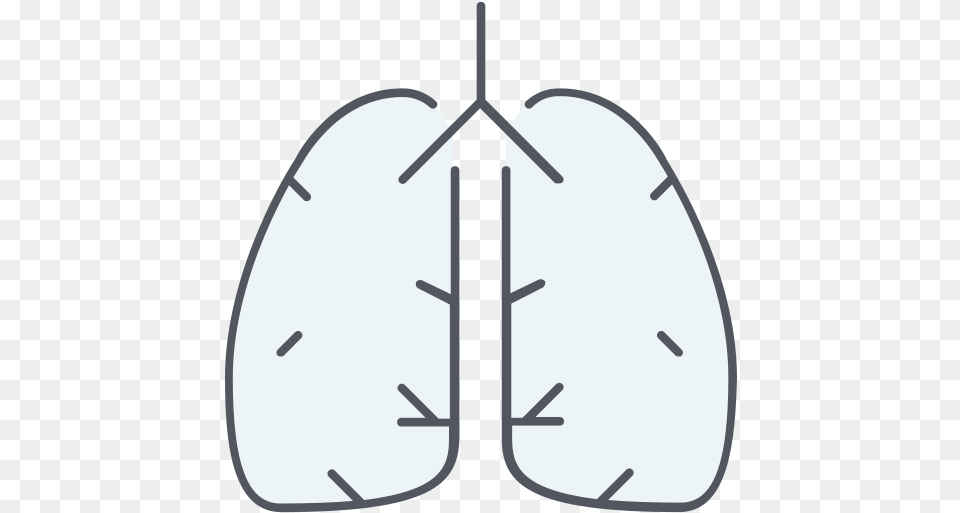 Lungs Lung Icon Circle, Nature, Outdoors, Sea, Water Free Transparent Png