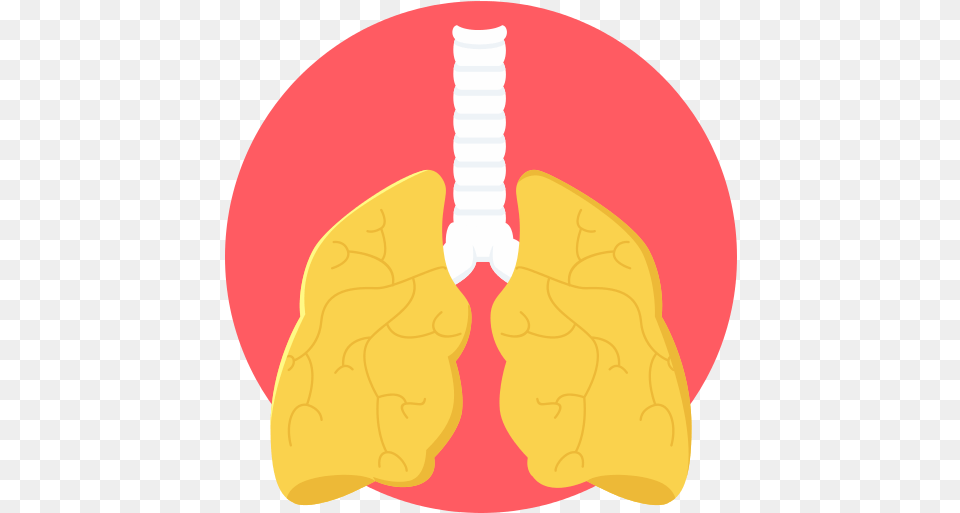 Lungs Lung Icon Lung, Face, Head, Person Png