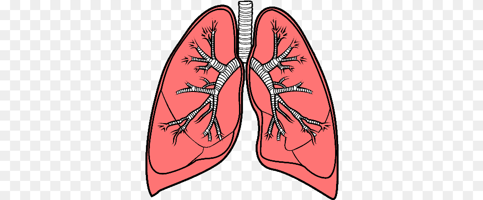 Lungs Lungs, Clothing, Footwear, Shoe, Person Png